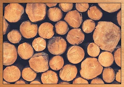 Timber Logs & Sizes